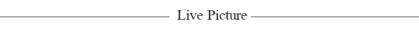 French Style Women Ruched Short Dress Fashion Summer Party Evening Gown Spaghetti Strap Bodycon Sexy Bandage Corset Mini Dress