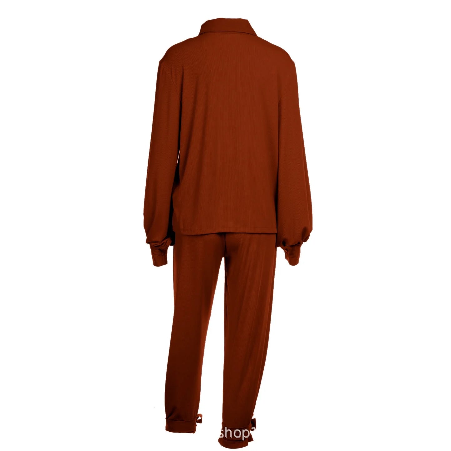 Classic Solid Shirt Pants Set Women Casual Loose Long Sleeved Lapel Elastic Waist Two Piece Suit 2025 New Summer Street Outfit