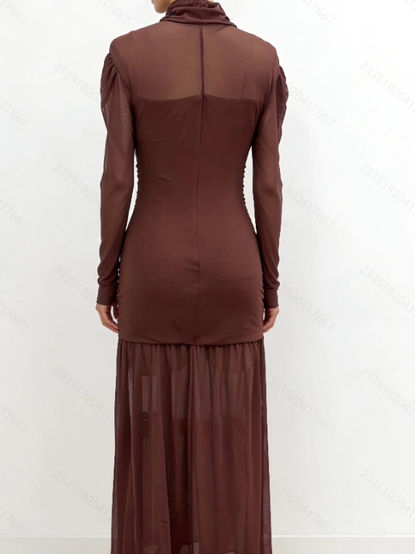 Elegant Sheer Long Sleeve High Neck Ruched Bodycon Dress For Women, Fashion Slim Party Banquet Art Exhibition Outfit